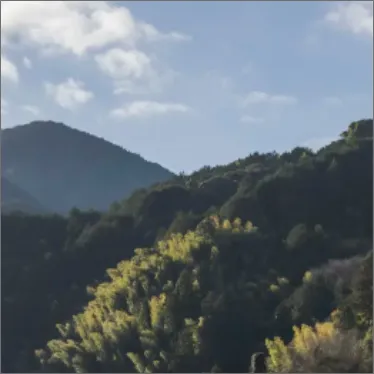 景色