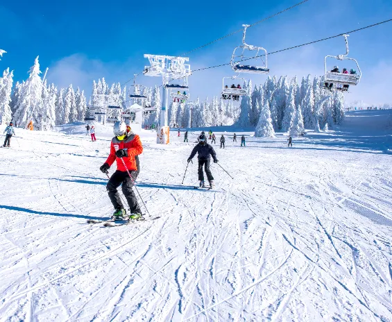 Snowy Mountains